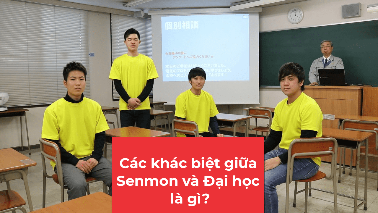 cac-khac-biet-giua-truong-senmon-va-dai-hoc-la-gi