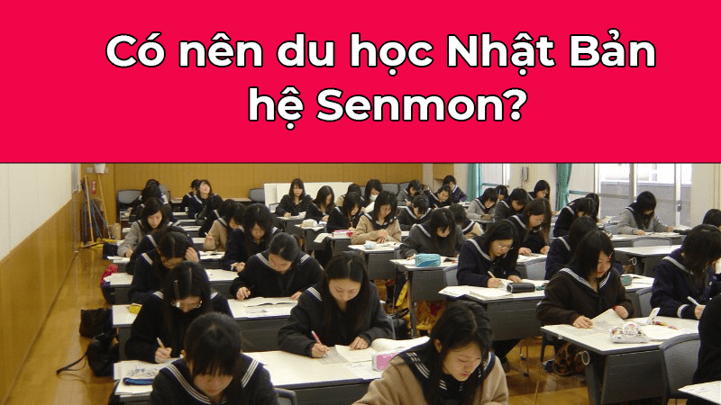 co-nen-du-hoc-nhat-ban-he-senmon