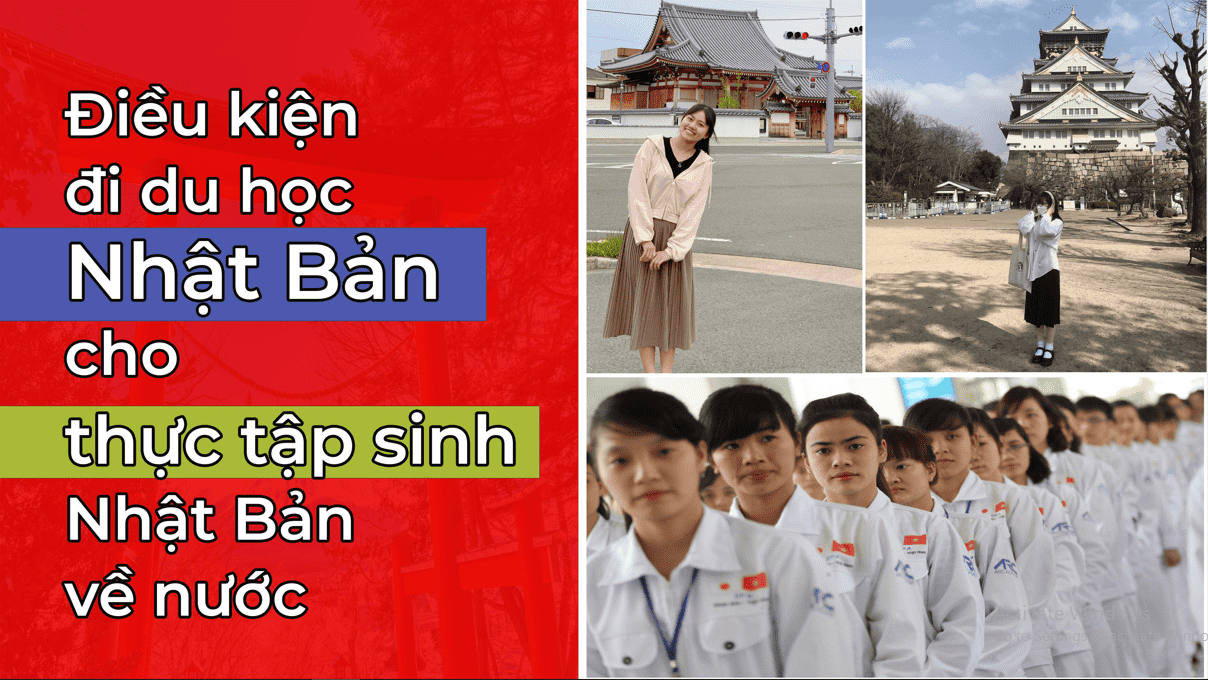 dieu-kien-di-du-hoc-nhat-cho-thuc-tap-sinh-nhat-ban-ve-nuoc