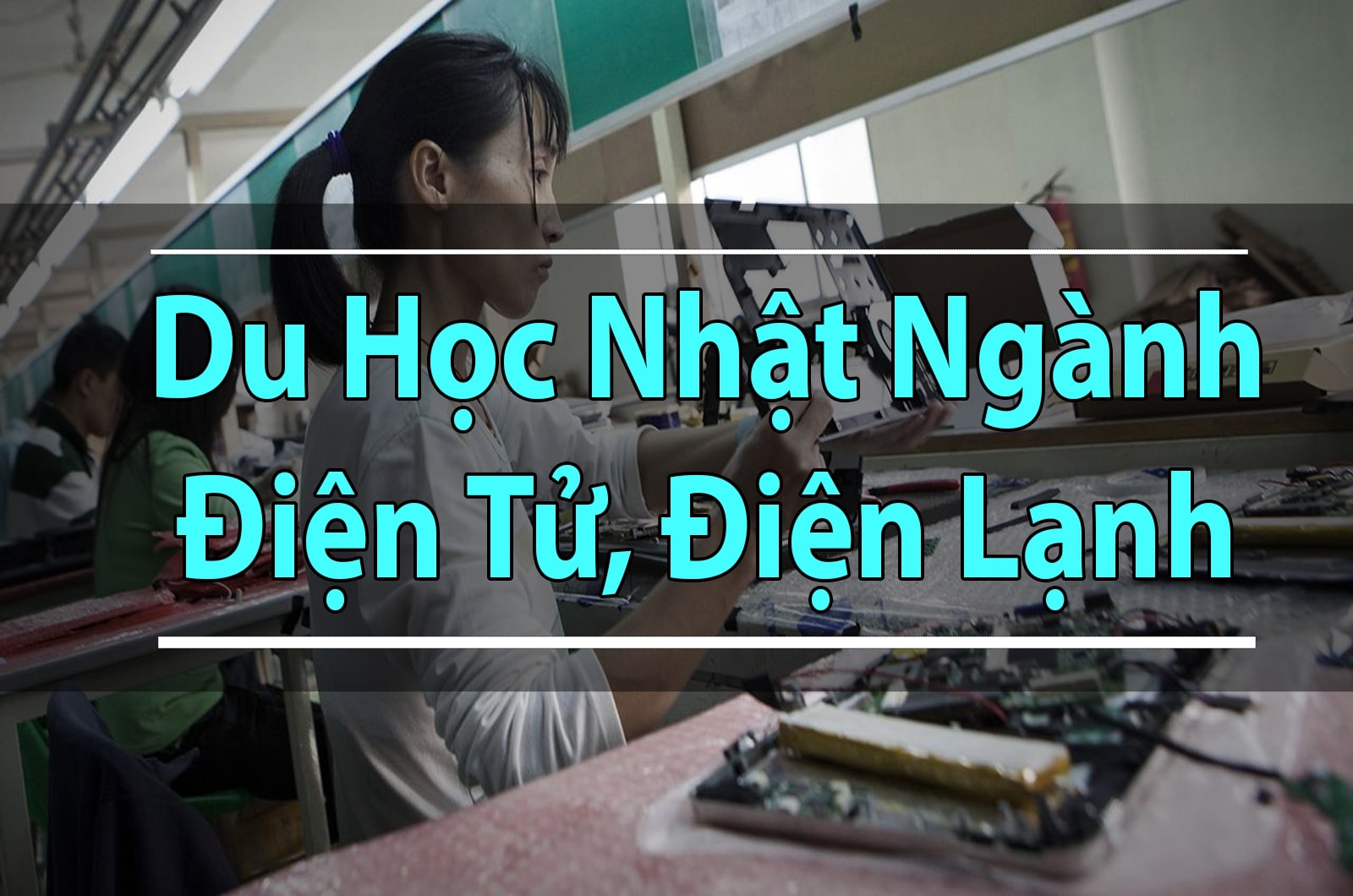 du-hoc-nhat-nganh-dien-tu-dien-lanh