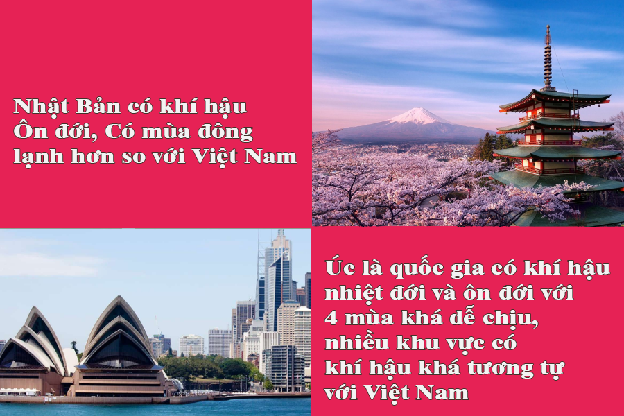 du-hoc-uc-hay-nhat