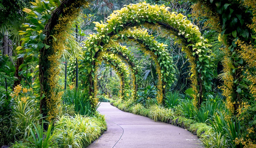 vuon-quoc-gia-botanic