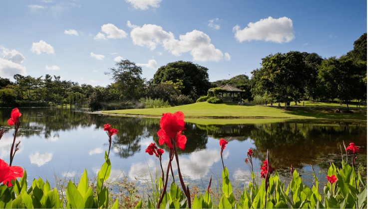 botanic-lake