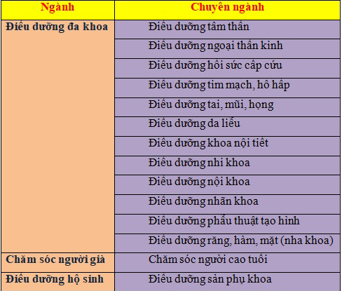 cac-chuyen-nganh-trong-nganh-dieu-duong