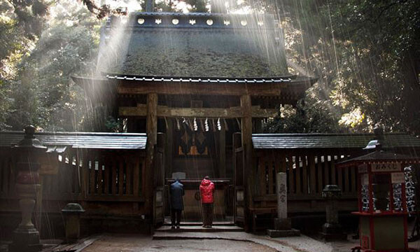 du-khach-tham-quan-den-kashima