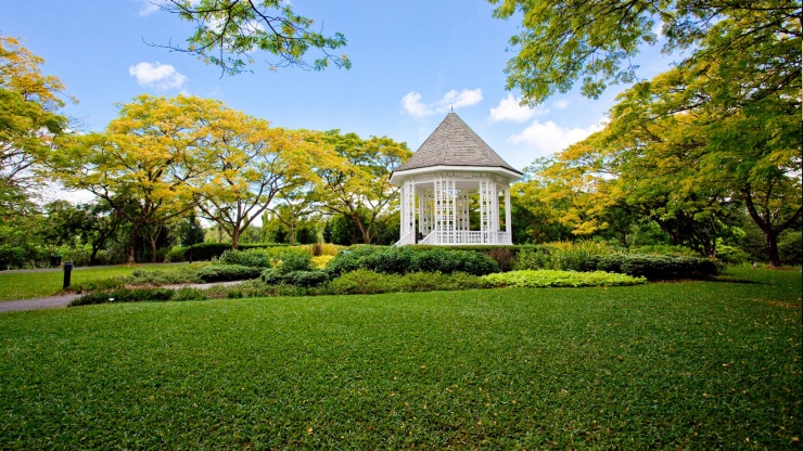 trai-he-singapore-botanic